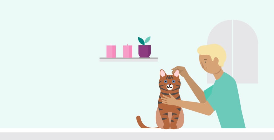 An illustration of a male vet giving a cat a regular check-up.